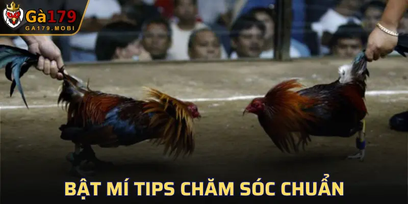 Bạn cần áp dụng các bài tập rèn luyện sức bền