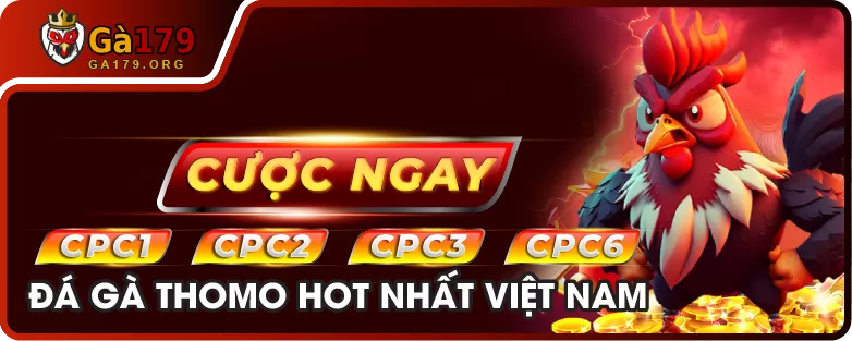 Banner Khuyến Mãi