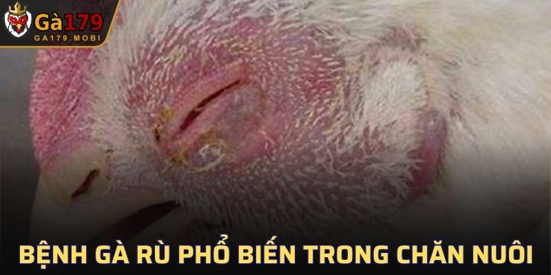 Bệnh Gà Rù
