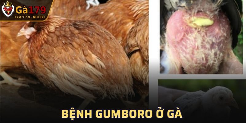 Bệnh Gumboro
