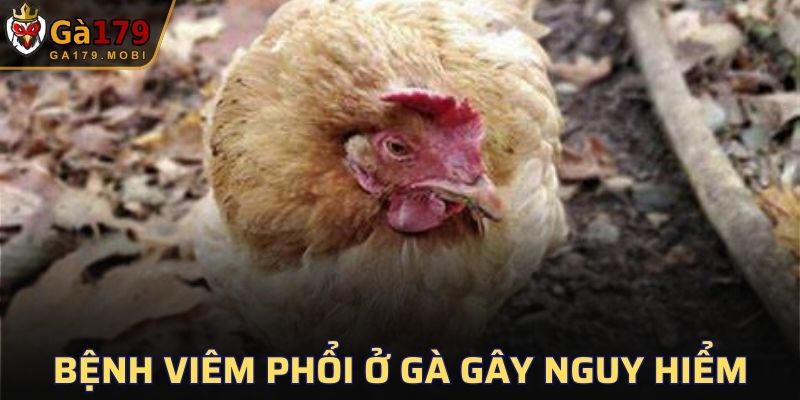 Bệnh Viêm Phổi Ở Gà