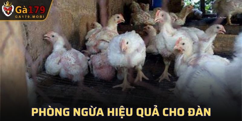 Biện pháp ngừa tốt nhất