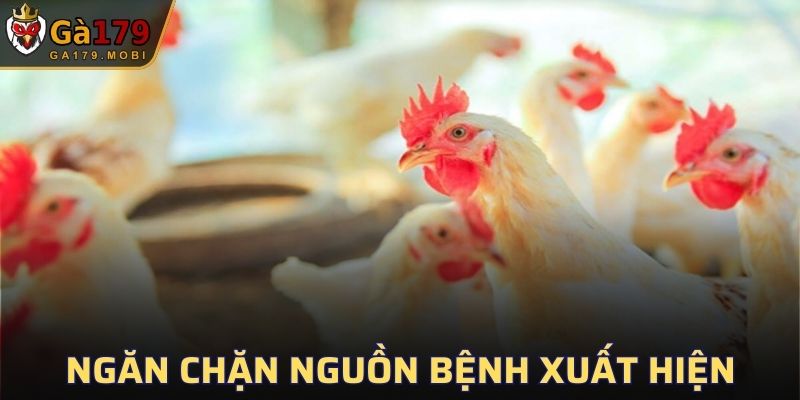 Các cách ngừa bệnh xuất hiện