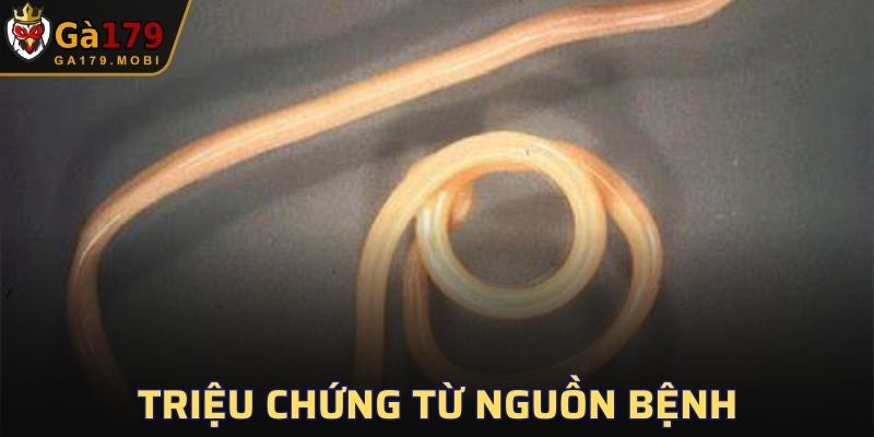 Các dấu hiệu dễ nhận biết có thể nhìn qua mắt thường