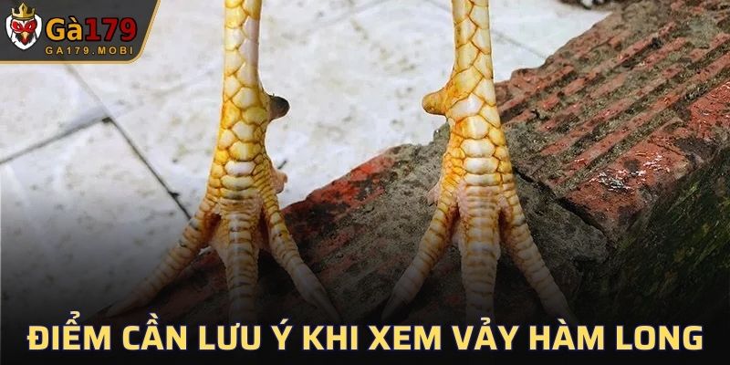 Các điểm cần chú ý khi nhận diện vảy Hàm Long