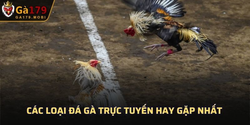 Các loại đá gà trực tuyến hay gặp nhất