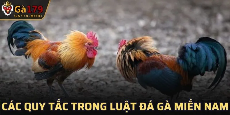 Các quy tắc trong luật đá gà miền Nam