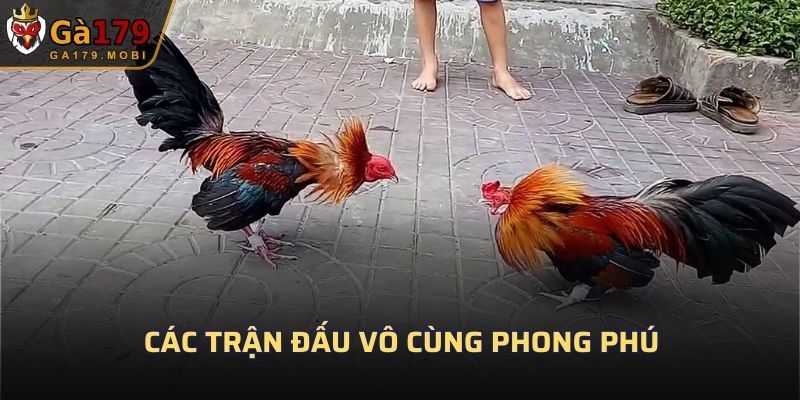 Các trận đấu vô cùng phong phú