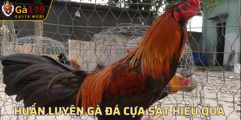 Cách huấn luyện đòi hỏi sự tỉ mỉ, kiên nhẫn