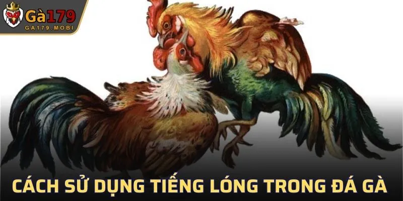 Cách sử dụng tiếng lóng trong đá gà chính xác