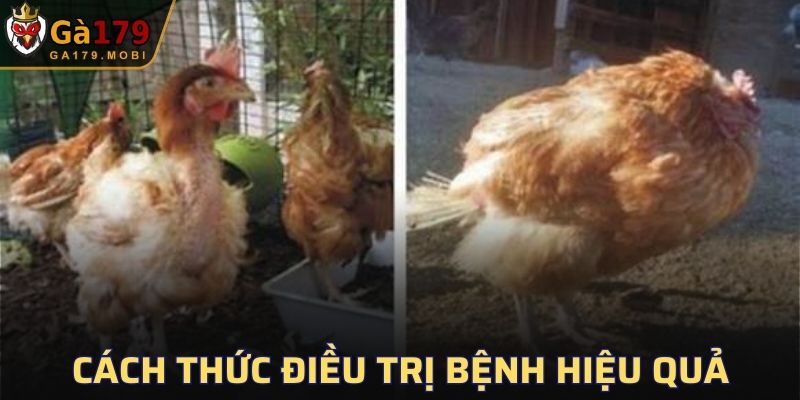 Cách thức chữa trị hợp lý
