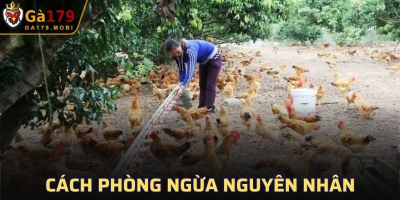 Cách thức tránh bệnh hiện nay