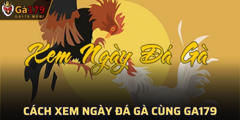 Cách Xem Ngày Đá