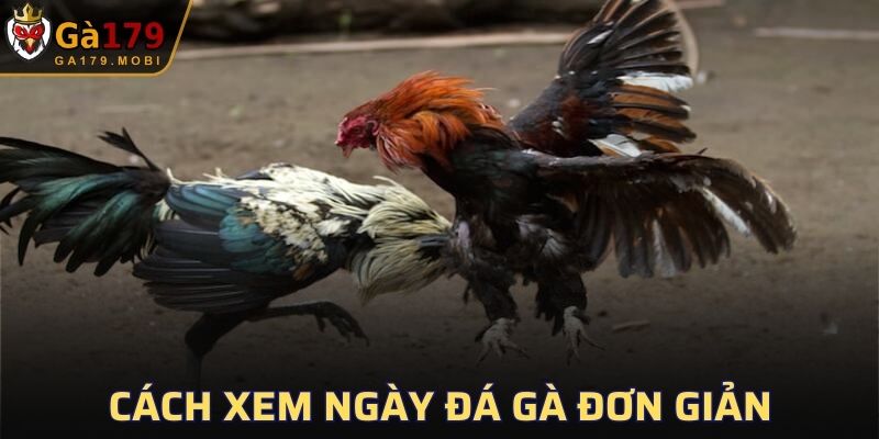 Cách xem ngày đá gà đơn giản được nhiều người sử dụng
