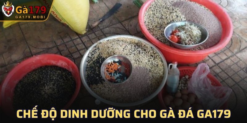 Chế Độ Dinh Dưỡng Cho Gà Đá