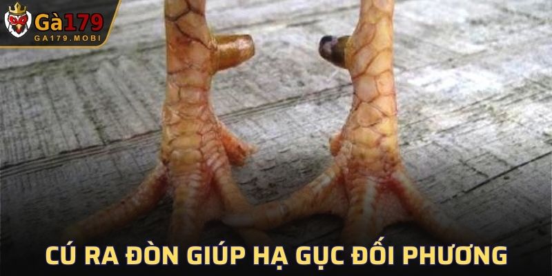 Chiến kê ra đòn chắc chắn và hiệu quả hơn