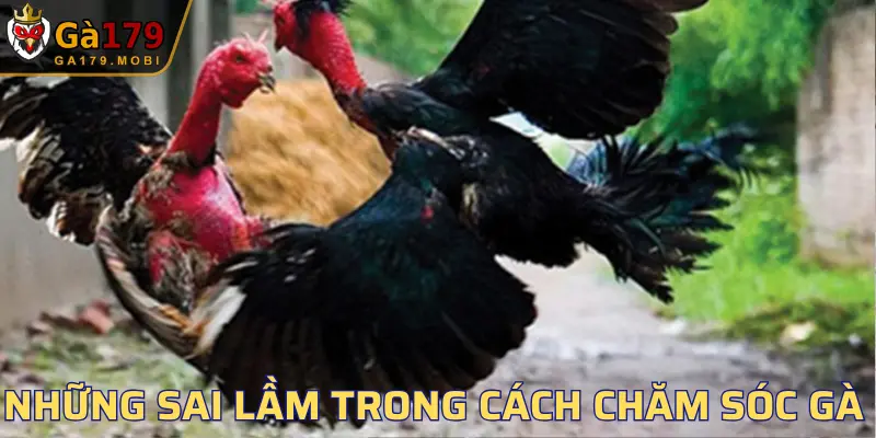 Chúng hỗ trợ quá trình sức khỏe nhanh chóng phục hồi