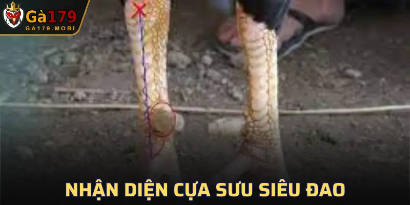 Chúng mang lại lợi thế vượt bậc trong mọi trận đấu