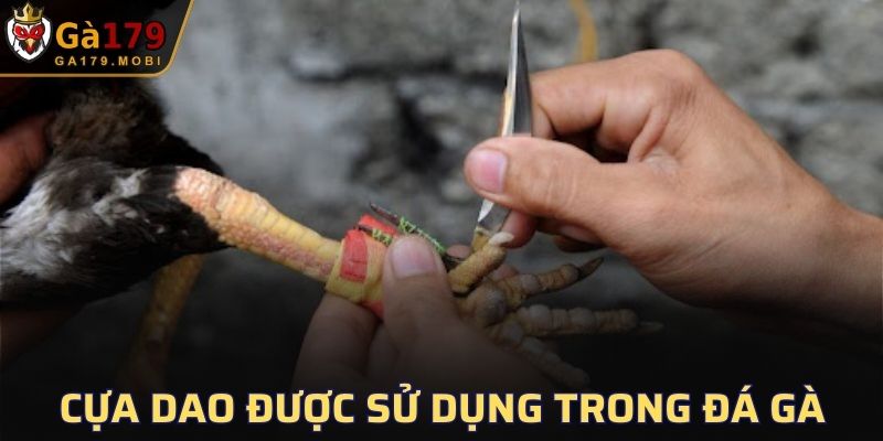 Cựa Dao