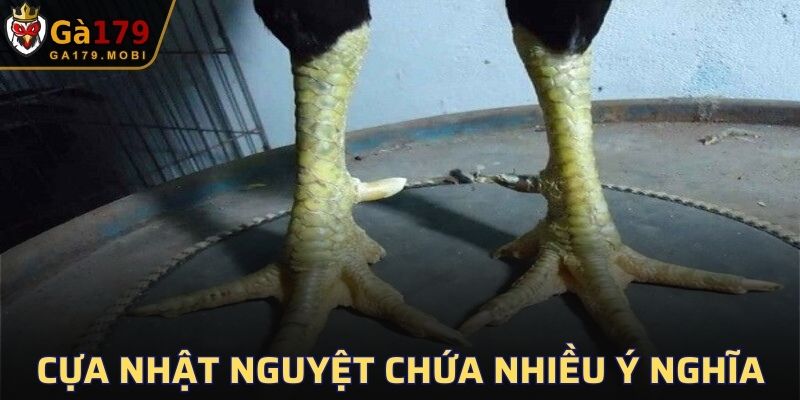 Cựa Nhật Nguyệt ẩn chứa ý nghĩa phong thủy to lớn