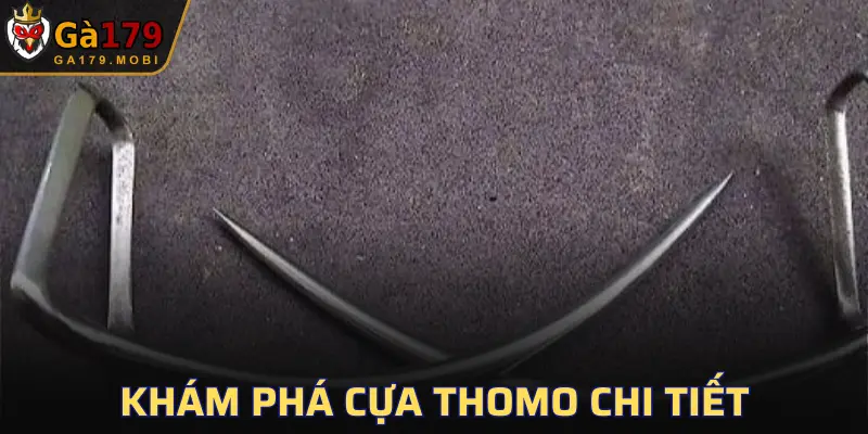 Cựa Thomo
