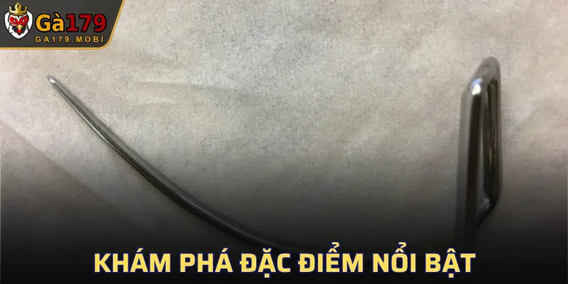 Cựa tuy nhỏ nhưng lại là vũ khí đáng gờm