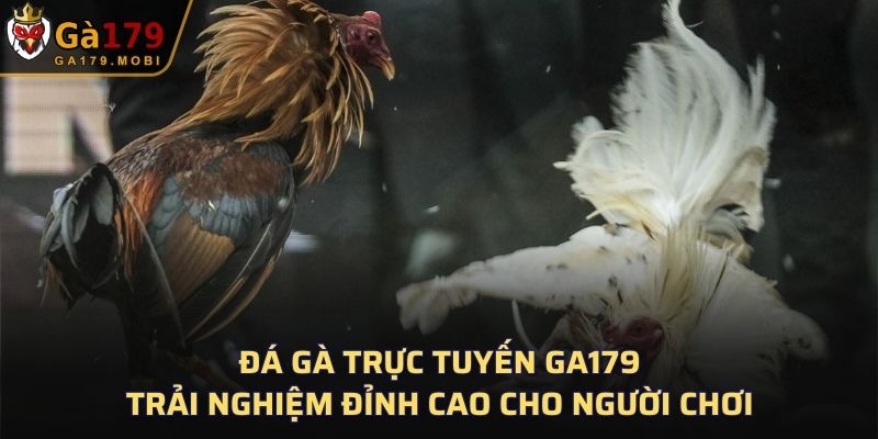 Đá Gà Trực Tuyến