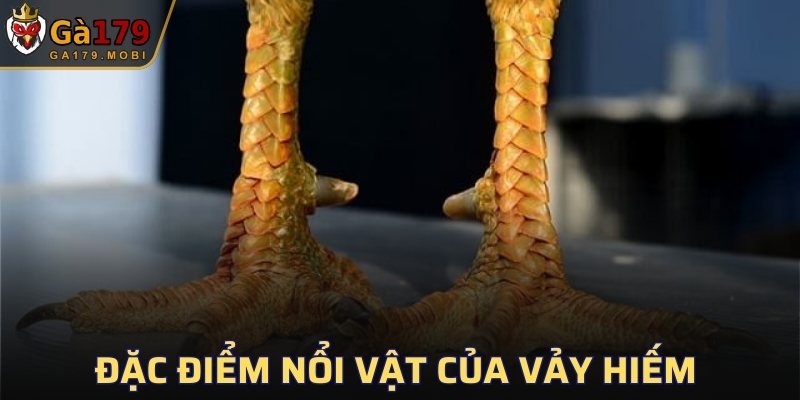 Đặc điểm nổi vật của vảy hiếm