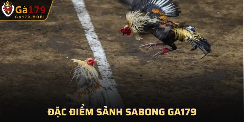Đặc điểm sảnh Sabong GA179