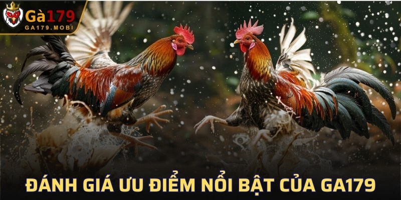 Đánh giá ưu điểm nổi bật của GA179
