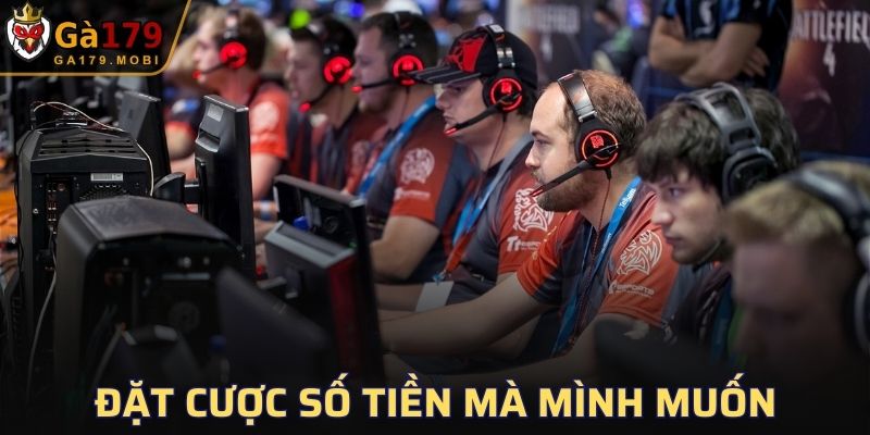Đặt cược số tiền mà mình muốn