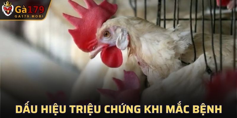 Dấu hiệu đoán bệnh phổ biến