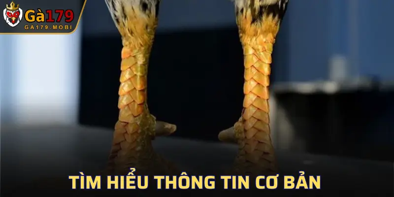 Đây là một trong những đặc điểm hiếm gặp