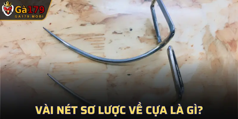 Đây là vũ khí khá đáng sợ trong giới gà chọi