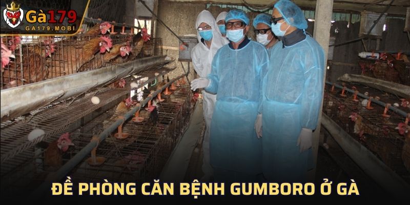 Đề phòng căn bệnh Gumboro ở gà