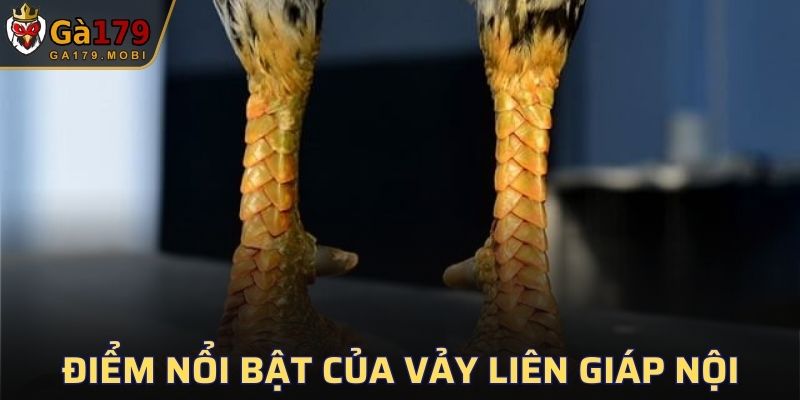 Điểm nổi bật của vảy Liên Giáp Nội giúp nó nổi tiếng