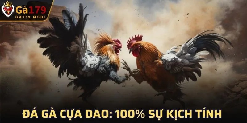 Điểm ưu việt của đá gà cựa dao
