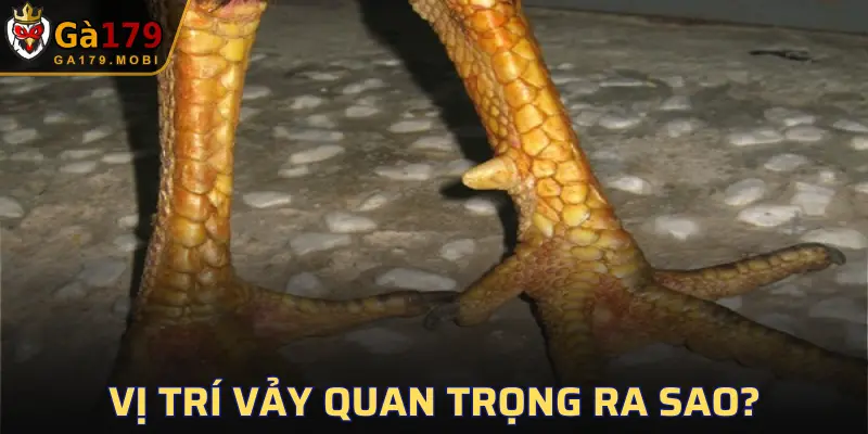 Điều này cũng ảnh hưởng trực tiếp đến giá trị