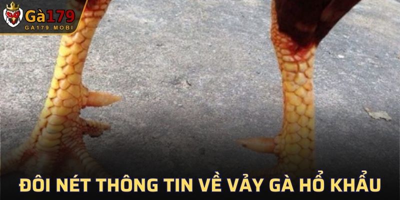 Đôi nét thông tin về Vảy gà Hổ Khẩu