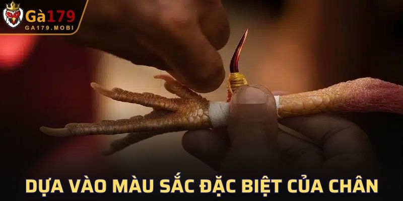 Dựa vào màu sắc đặc biệt của chân