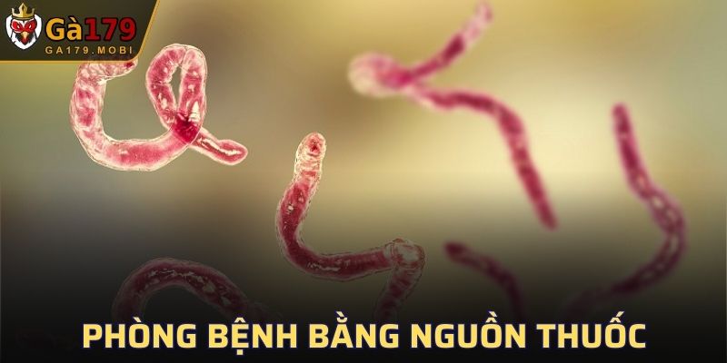 Dùng thuốc điều trị là phương thức phổ biến nhất hiện nay