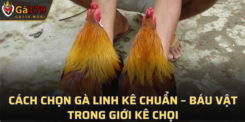 Gà Linh Kê