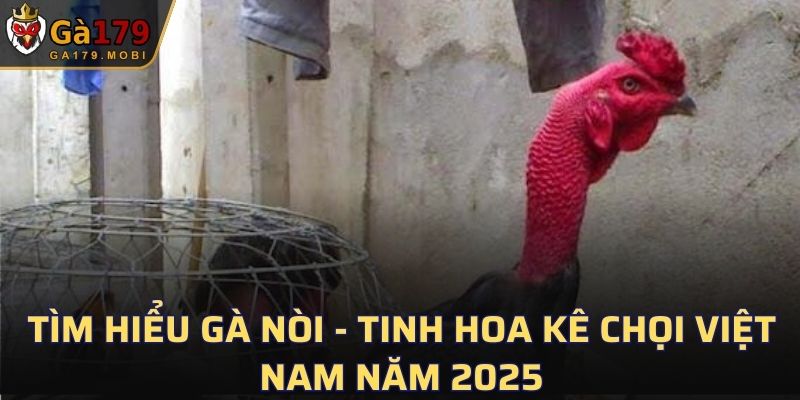 Gà Nòi