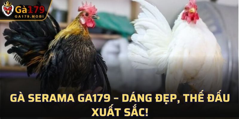 Gà Serama