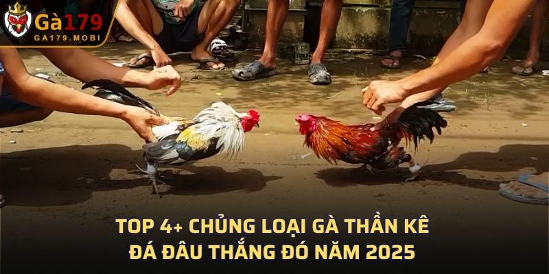 Gà Thần Kê