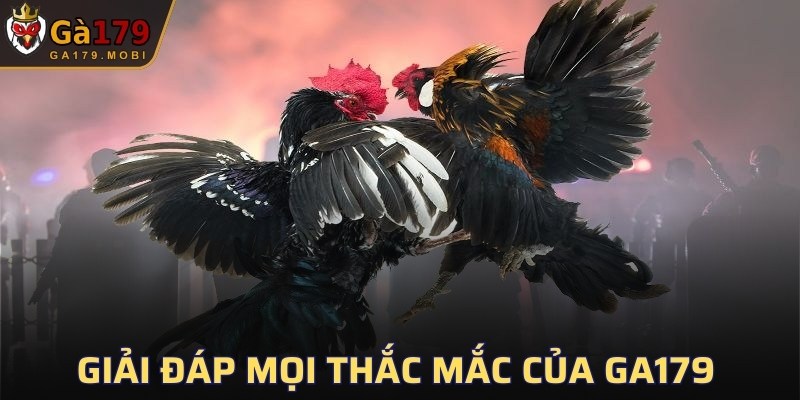 Giải đáp mọi thắc mắc của nhà cái GA179