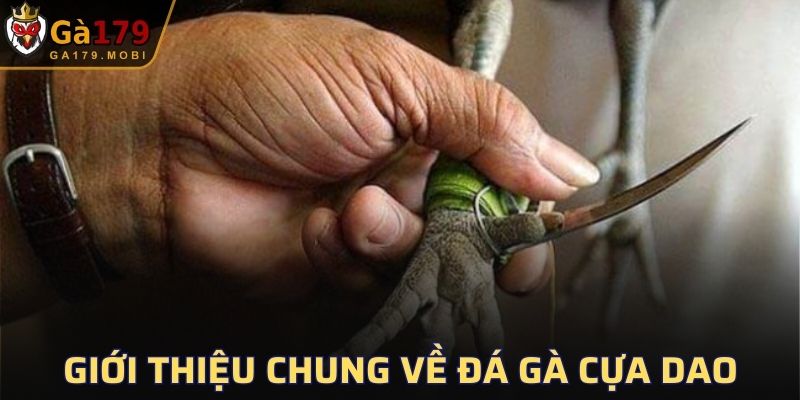 Giới thiệu sơ qua về cựa dao cho người mới