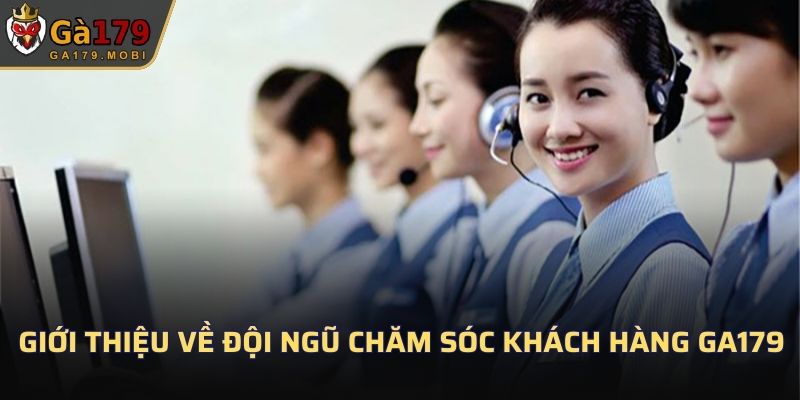Giới thiệu về đội ngũ chăm sóc khách hàng GA179