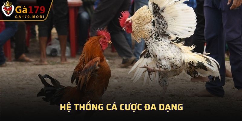 Hệ thống cá cược đa dạng