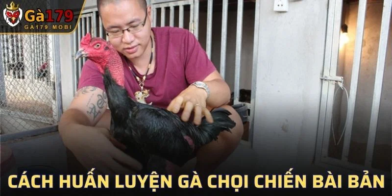 Huấn Luyện Gà Chọi Chiến